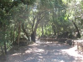 arbuda-270609 (27).html